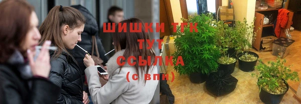 не бодяженный Няндома