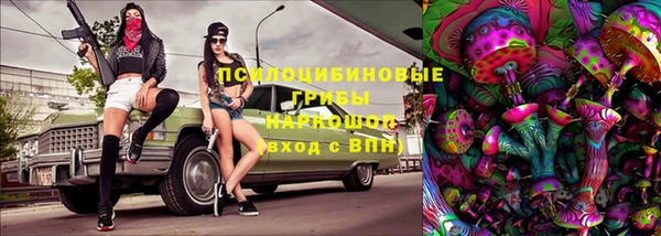 не бодяженный Няндома